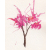 watercolour blossom tree.jpeg